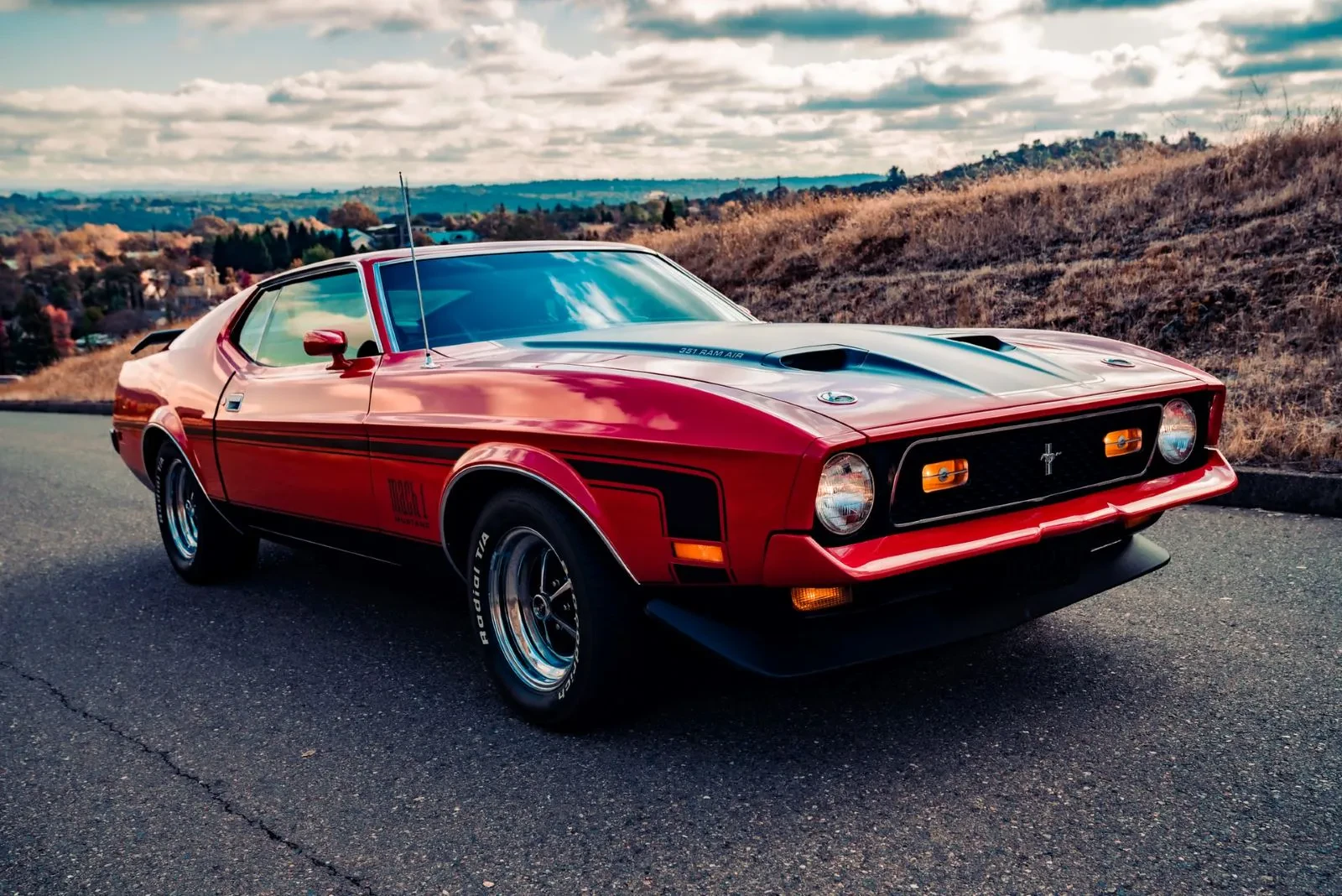 American Muscle Car image