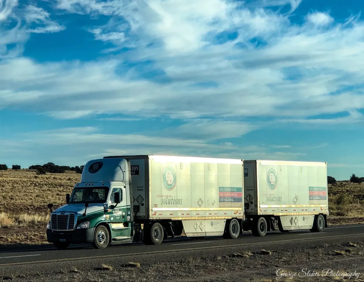 img/2632_old-dominion-freight-line-diecast-trucks-a-collectors-dream.webp