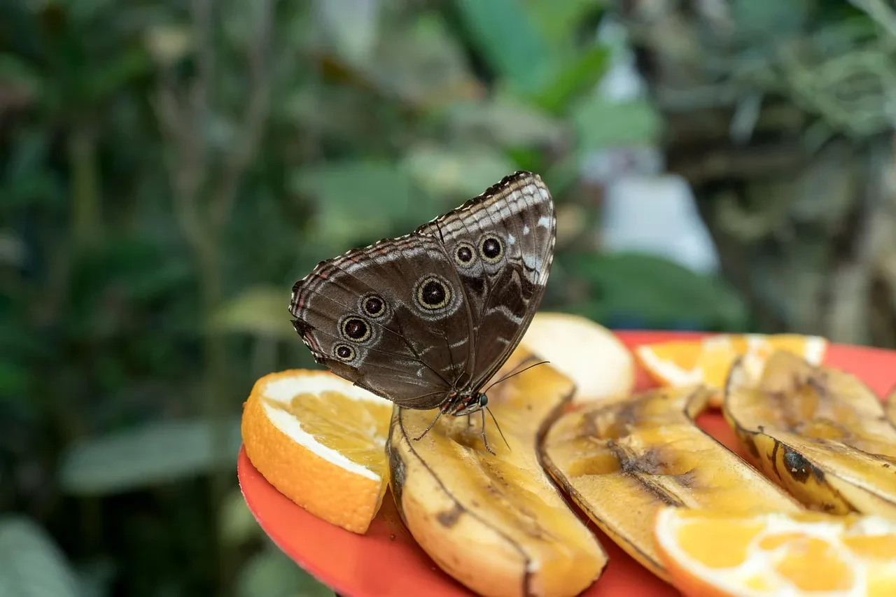 TWH firetruck detail shot