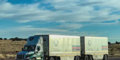 img/2632_old-dominion-freight-line-diecast-trucks-a-collectors-dream.webp